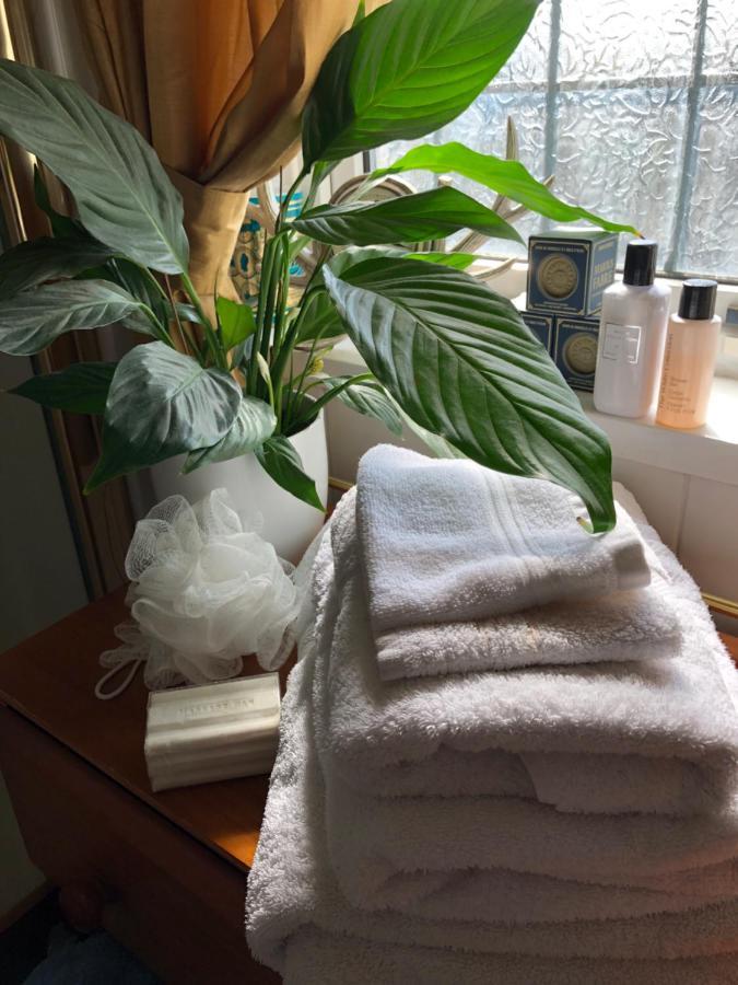 Wynberg House Bed & Breakfast スウォンジー エクステリア 写真
