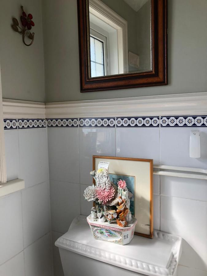 Wynberg House Bed & Breakfast スウォンジー エクステリア 写真